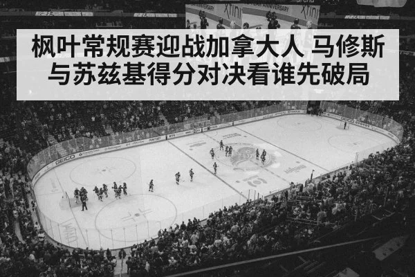ice hockey arena crowd